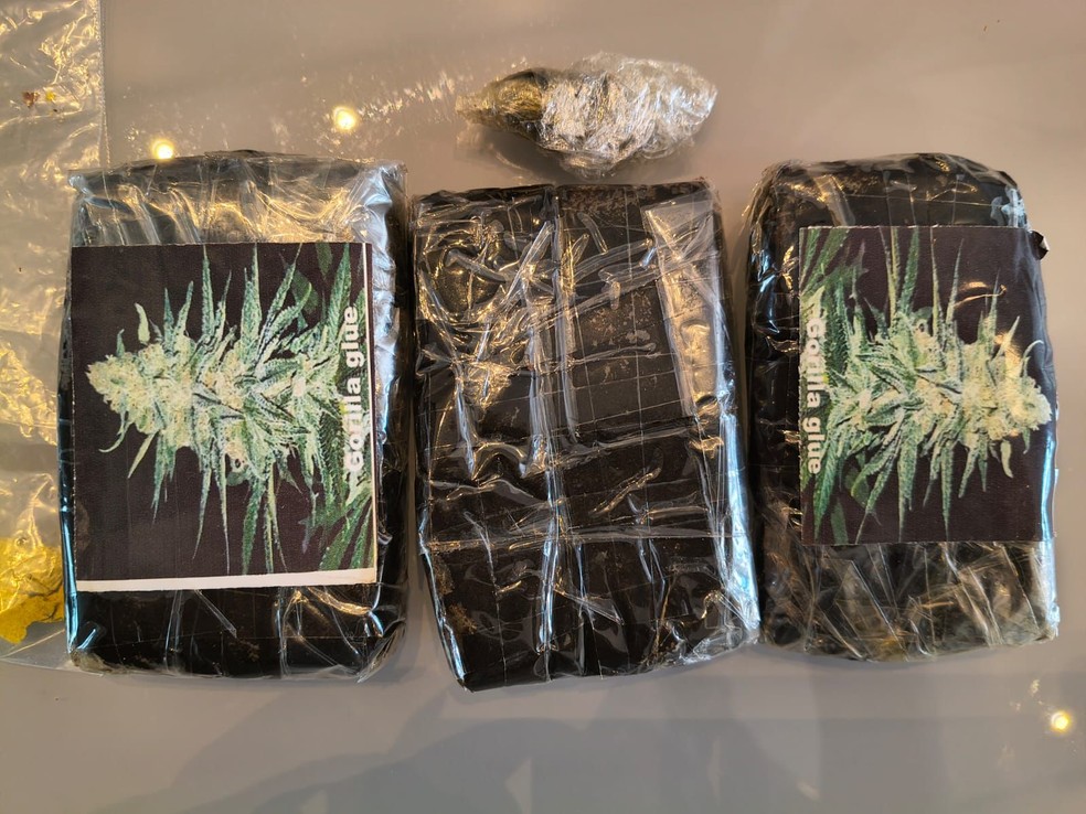 Apreens&atilde;o ocorreu em Ara&ccedil;atuba (SP) &mdash; Foto: Divulga&ccedil;&atilde;o / Pol&iacute;cia Militar