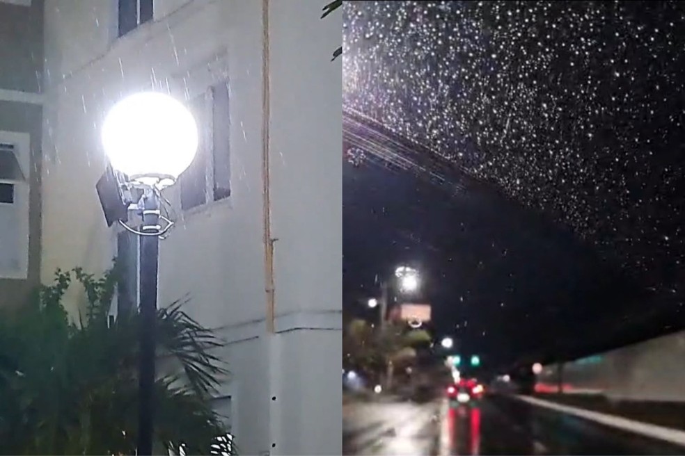 Teresina registra ‘chuva do caju’ após 70 dias; fenômeno excepcional, diz climatologista — Foto: Arquivo pessoal