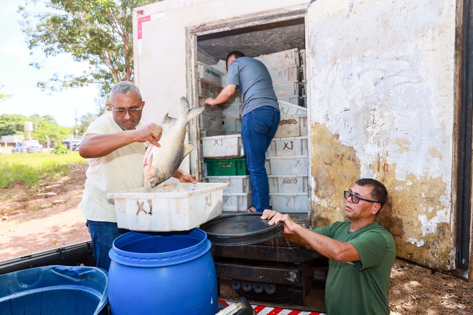 Empresa é multada em mais de R$ 104 mil por transportar cinco toneladas de peixes sem nota fiscal