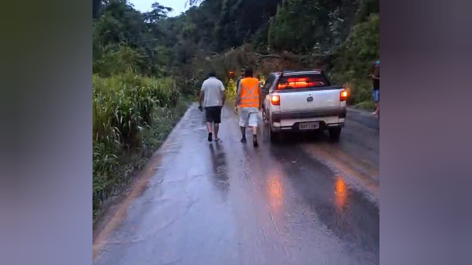 Árvore cai e interdita BR-163 por mais de 2 horas na descida da Serra do Piquiatuba em Santarém