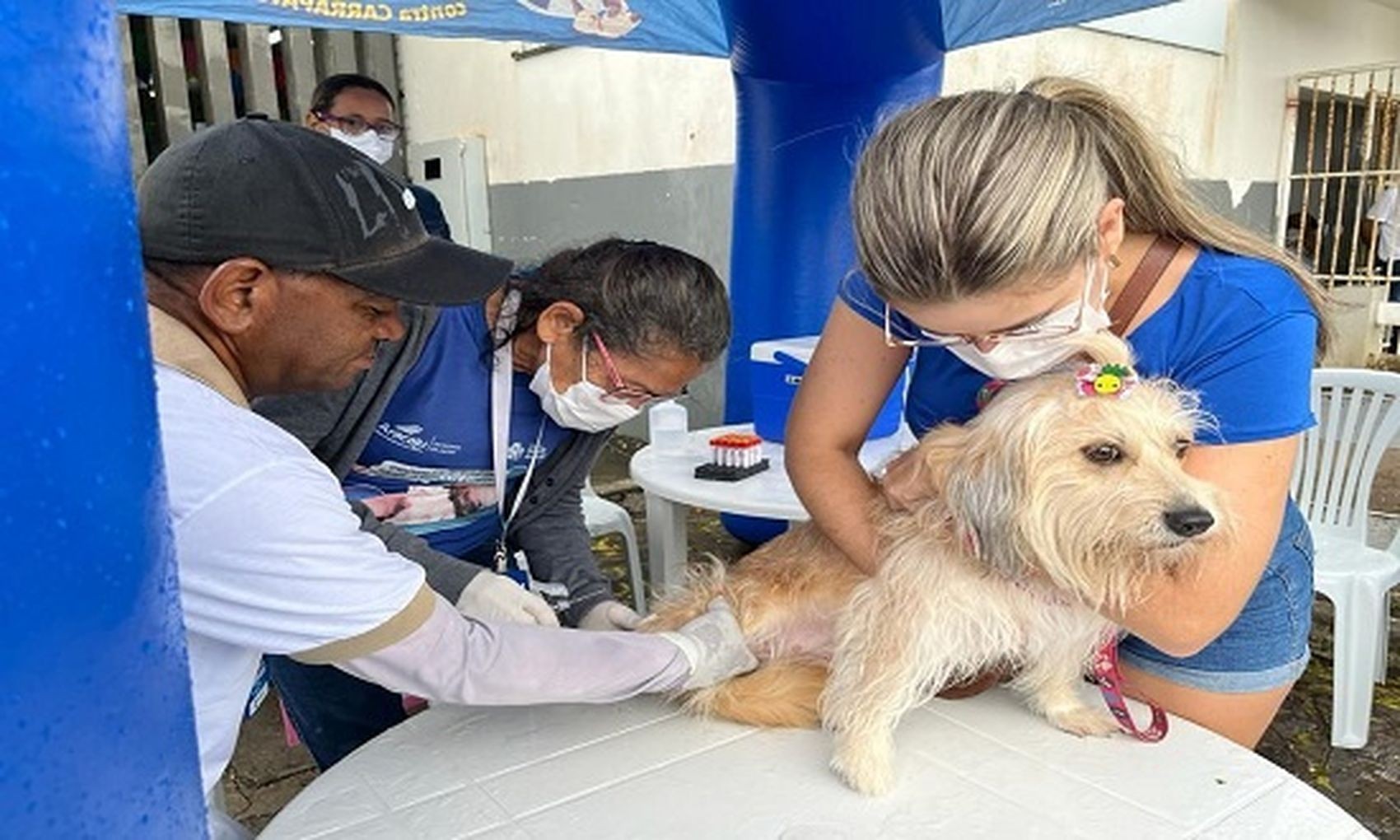 Campanha Antirrábica: saiba onde vacinar seu animal de estimação em Aracaju neste sábado