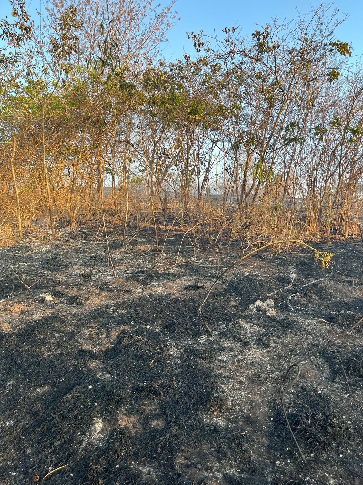 Bombeiros e brigadistas combatem incêndio que atinge mata perto do Parque Lapa Grande, em Montes Claros