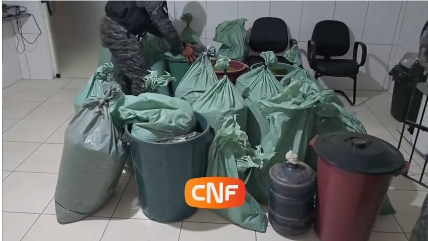 PM apreende 241 kg de maconha em galpão abandonado e prende dois suspeitos por tráfico em Caruaru