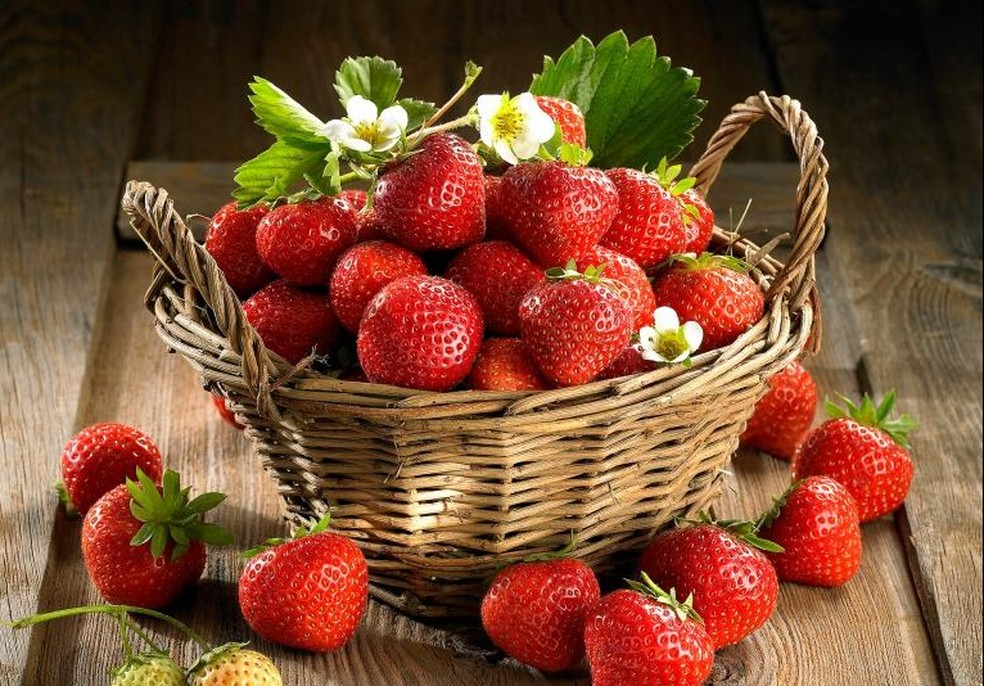 Truskawka kaszubska é tipo de morango tradicional da Polônia. — Foto: Reprodução/Truskawka Kaszubska