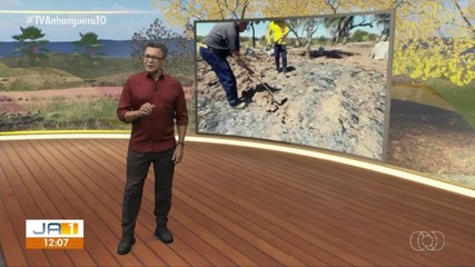 Confira os destaques do Jornal do Campo deste domingo (30)
