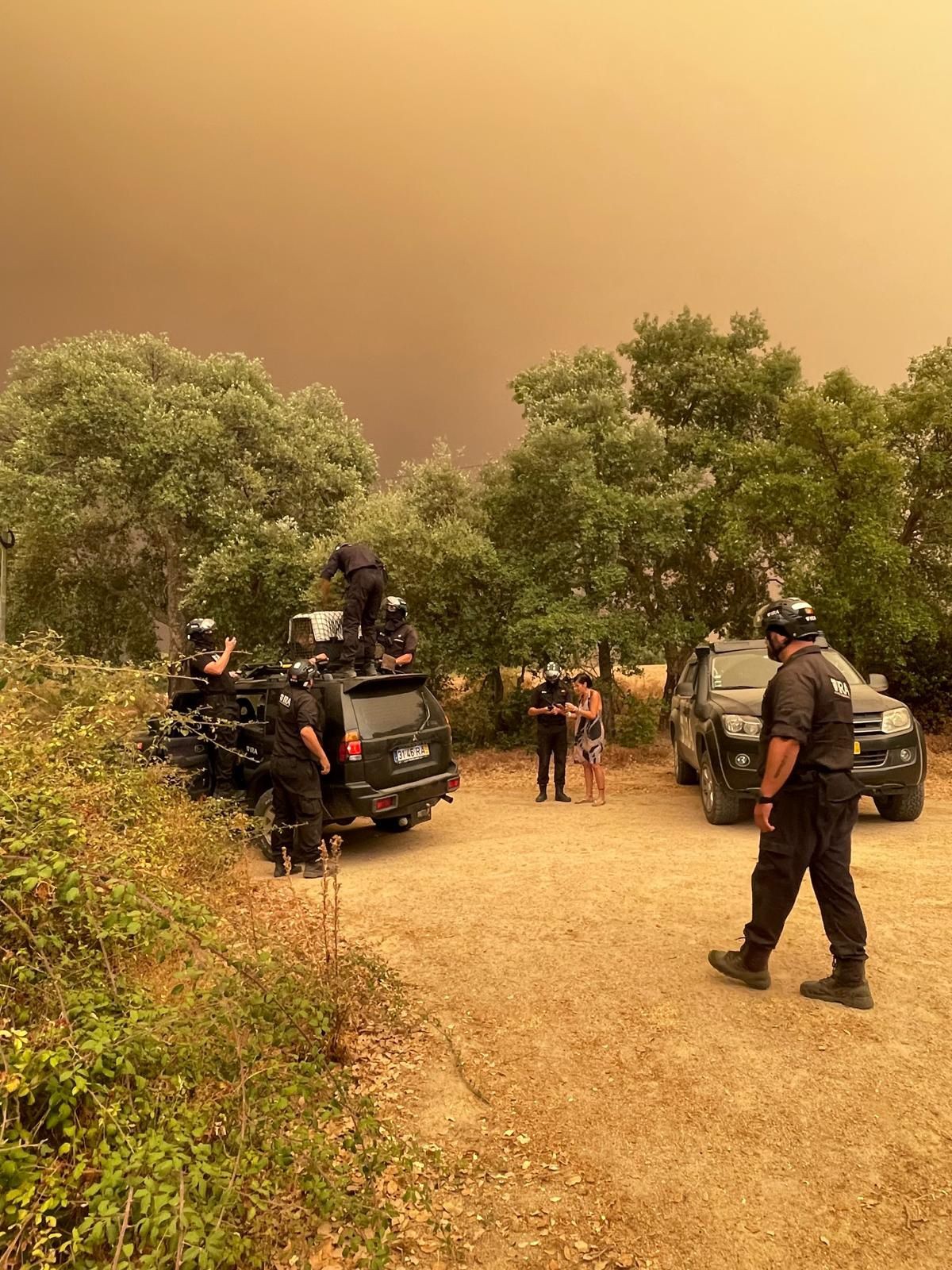 Carioca relata corrida para evacuar rancho devido a incêndio florestal em Portugal; vídeo mostra fumaça e céu amarelado