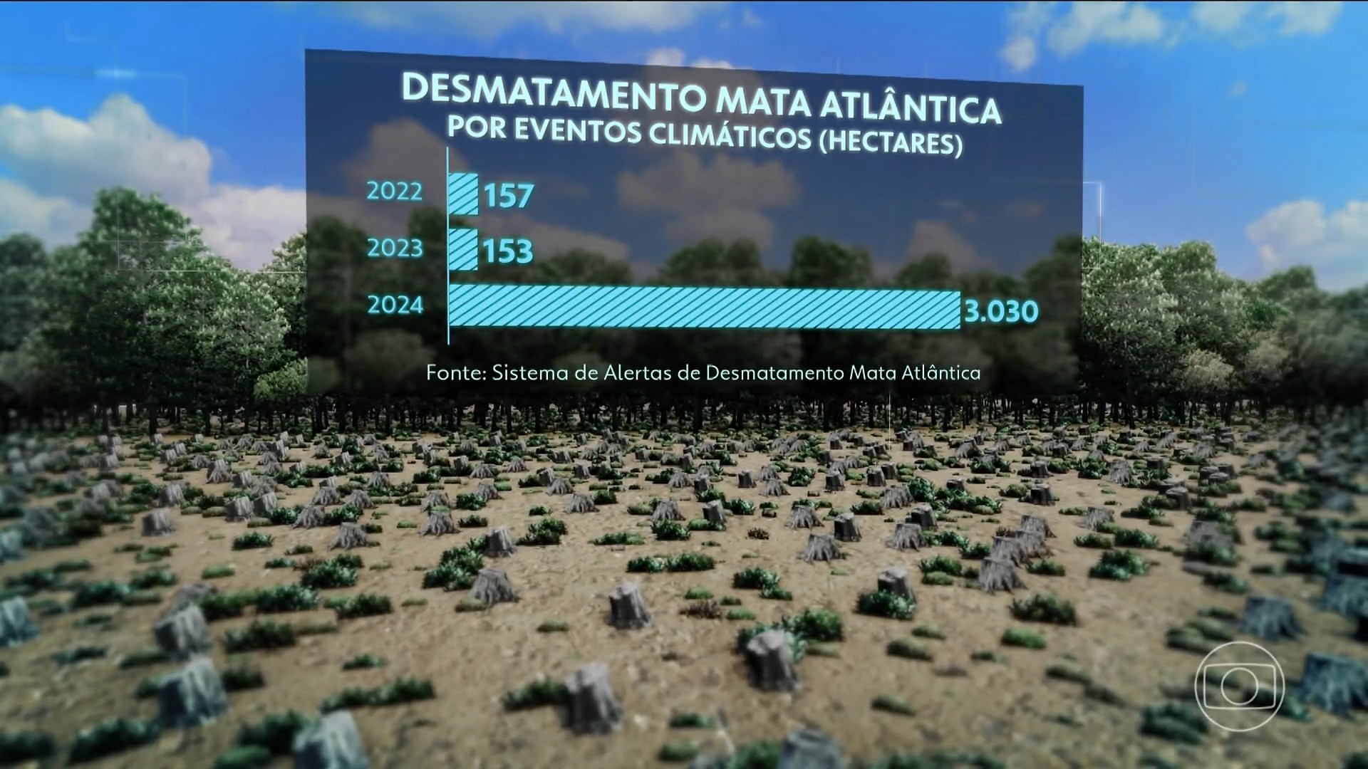 Eventos climáticos extremos afetam a Mata Atlântica