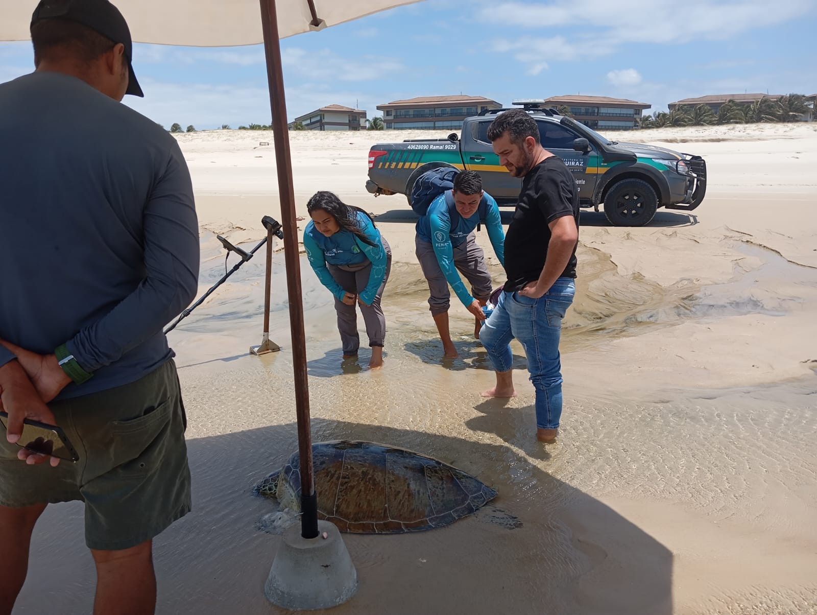 Tartaruga ameaçada de extinção é resgatada após encalhar em praia da Grande Fortaleza