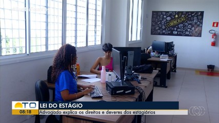 Advogado explica os direitos e as regras do contrato de estagiários