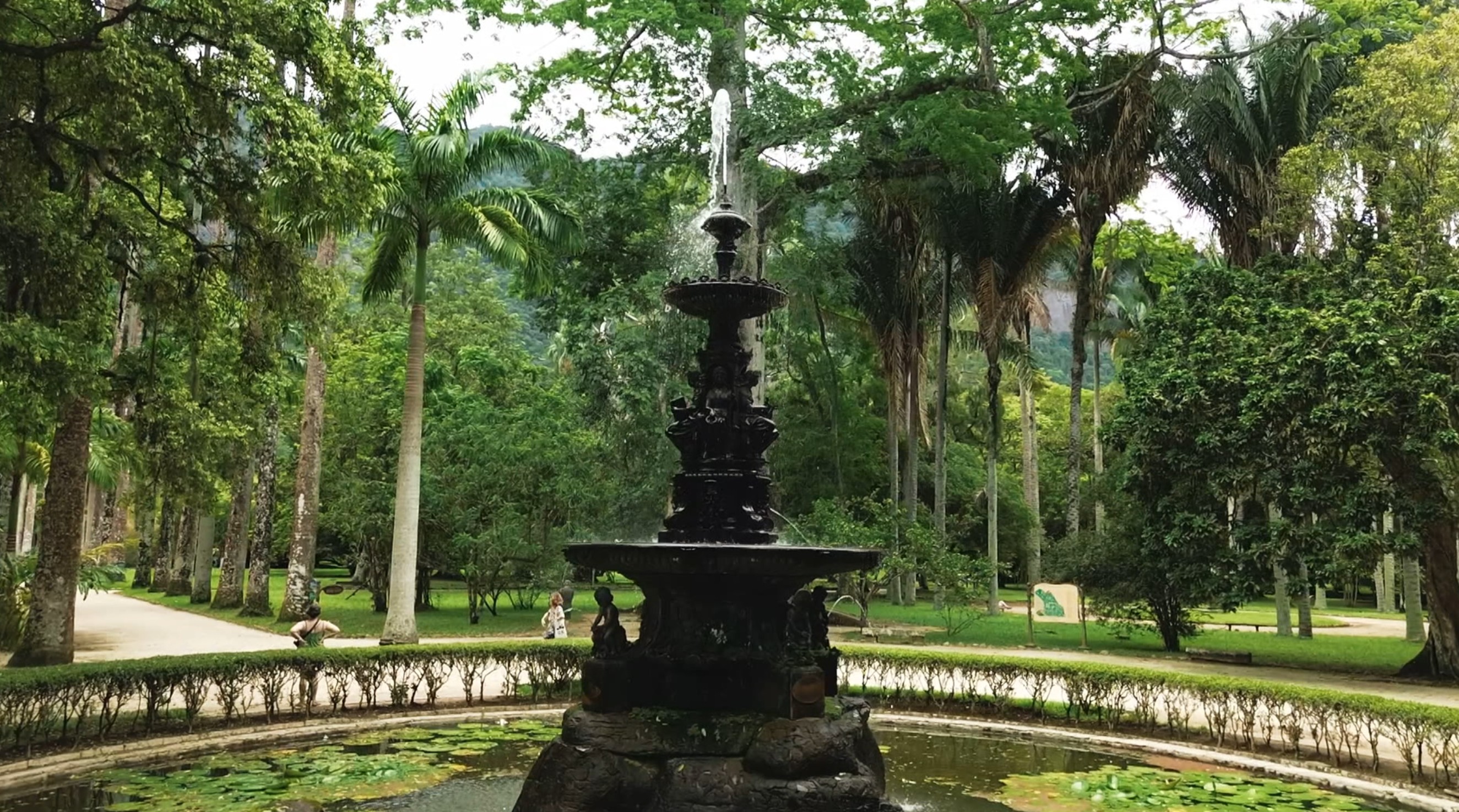 Jardim Botânico do RJ vira ponto de encontro para observadores de aves