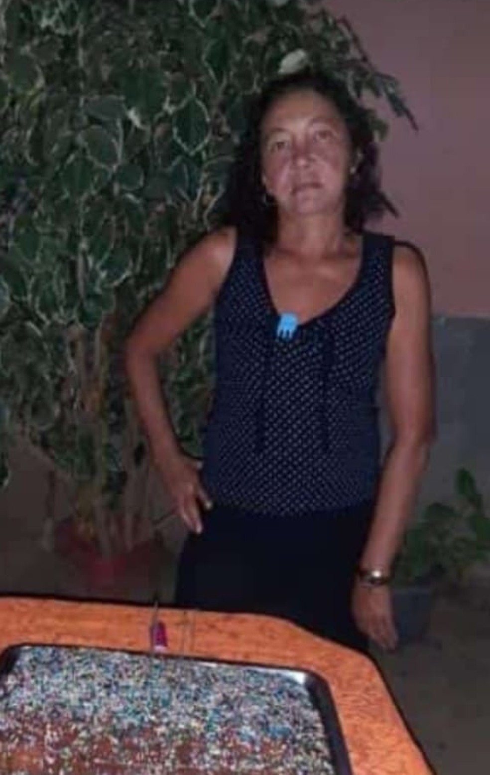 Mulher de 52 é assassinada com golpe de facão no pescoço na Zona Rural de União; filha foi quem acionou polícia — Foto: Reprodução