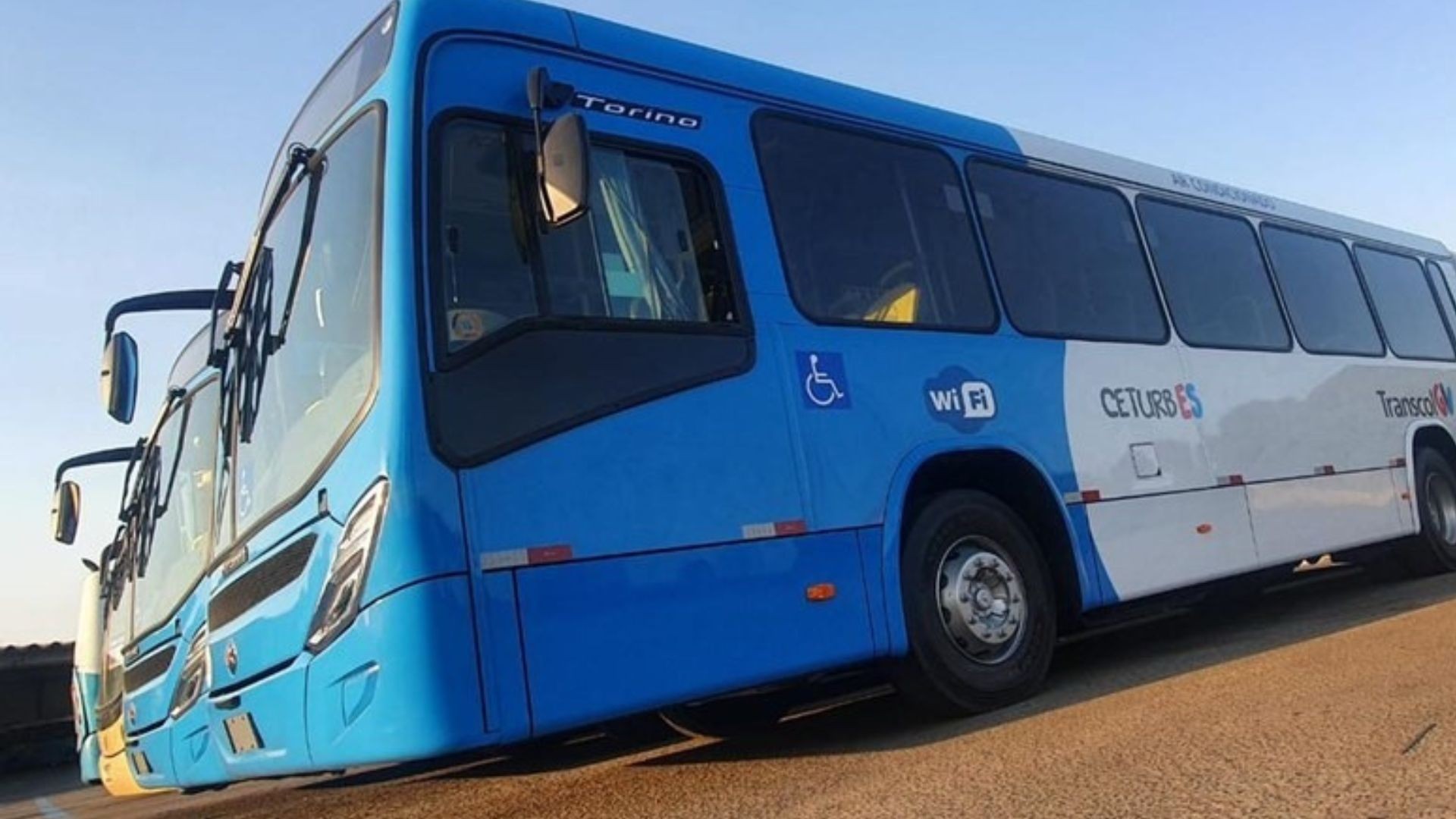 Nova lei amplia gratuidade para passageiros do Transcol; veja quem tem direito e como conseguir