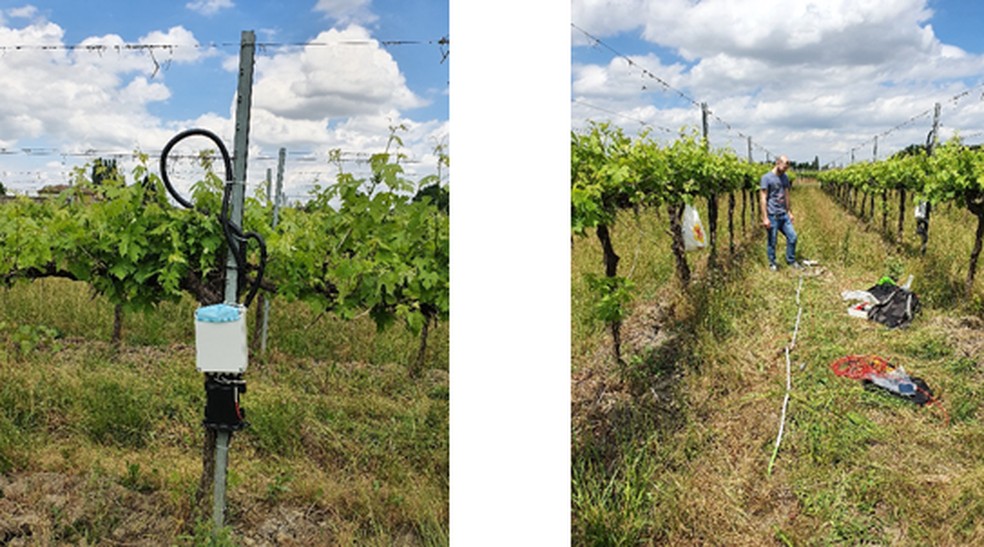 Tecnologia de irrigação de precisão com internet das coisas. — Foto: Portal Embrapa