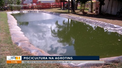 Veja os destaques da vitrine tecnológica para a piscicultura na Agrotins 2024
