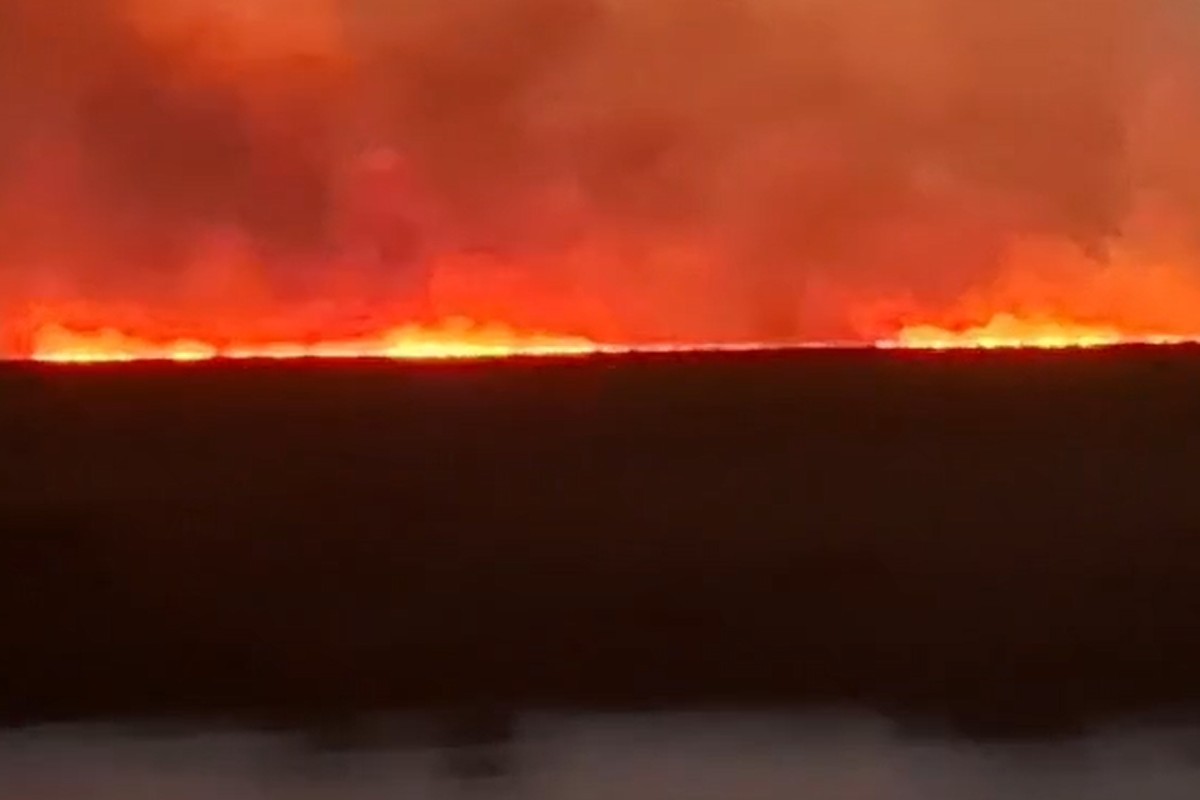 VÍDEO: Linha de fogo avança pelo Pantanal e ventos fortes acendem alerta
