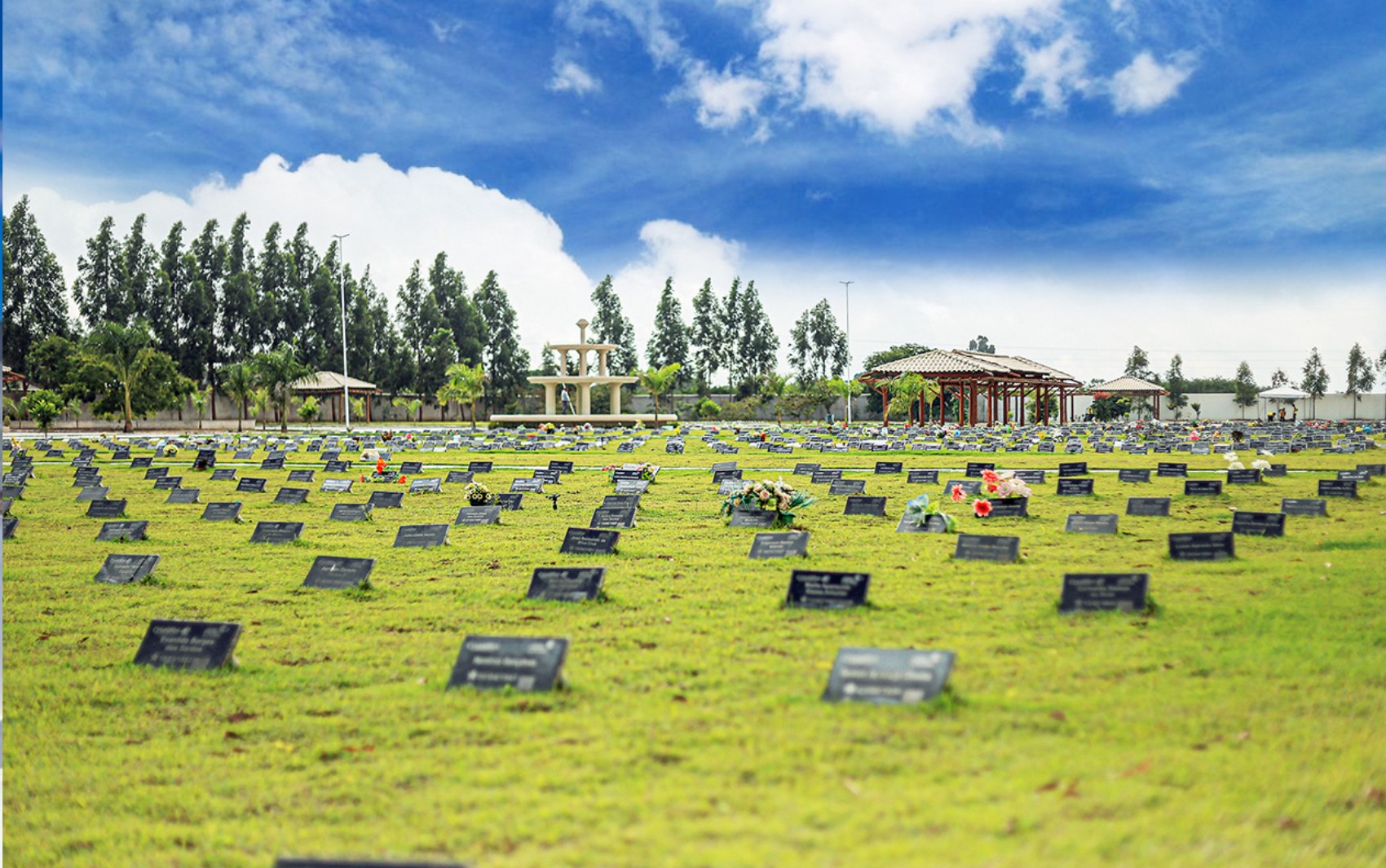 Você Não Tá Convidada pro Meu Bat Mitzvá!