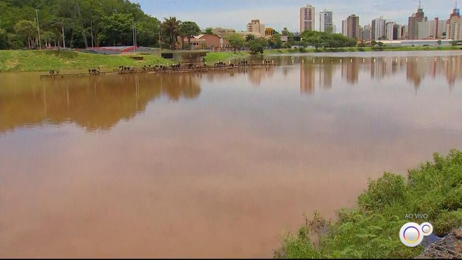 O, de honesto': vereador de Mendonça diz que tentou brincar de palavras  cruzadas ao homenagear deputado, São José do Rio Preto e Araçatuba