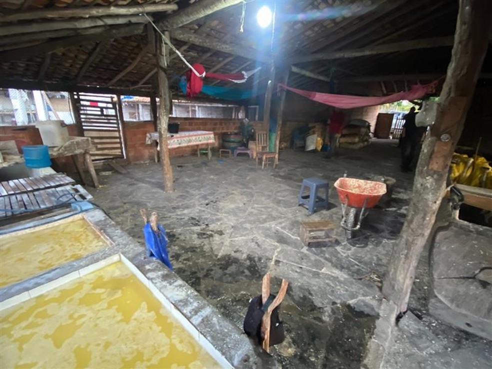 Em Magalhães de Almeida, foram resgatados 76 trabalhadores que atuavam na extração da palha de carnaúba e viviam em condições degradantes. — Foto: Divulgação/Secretaria de Inspeção do Trabalho