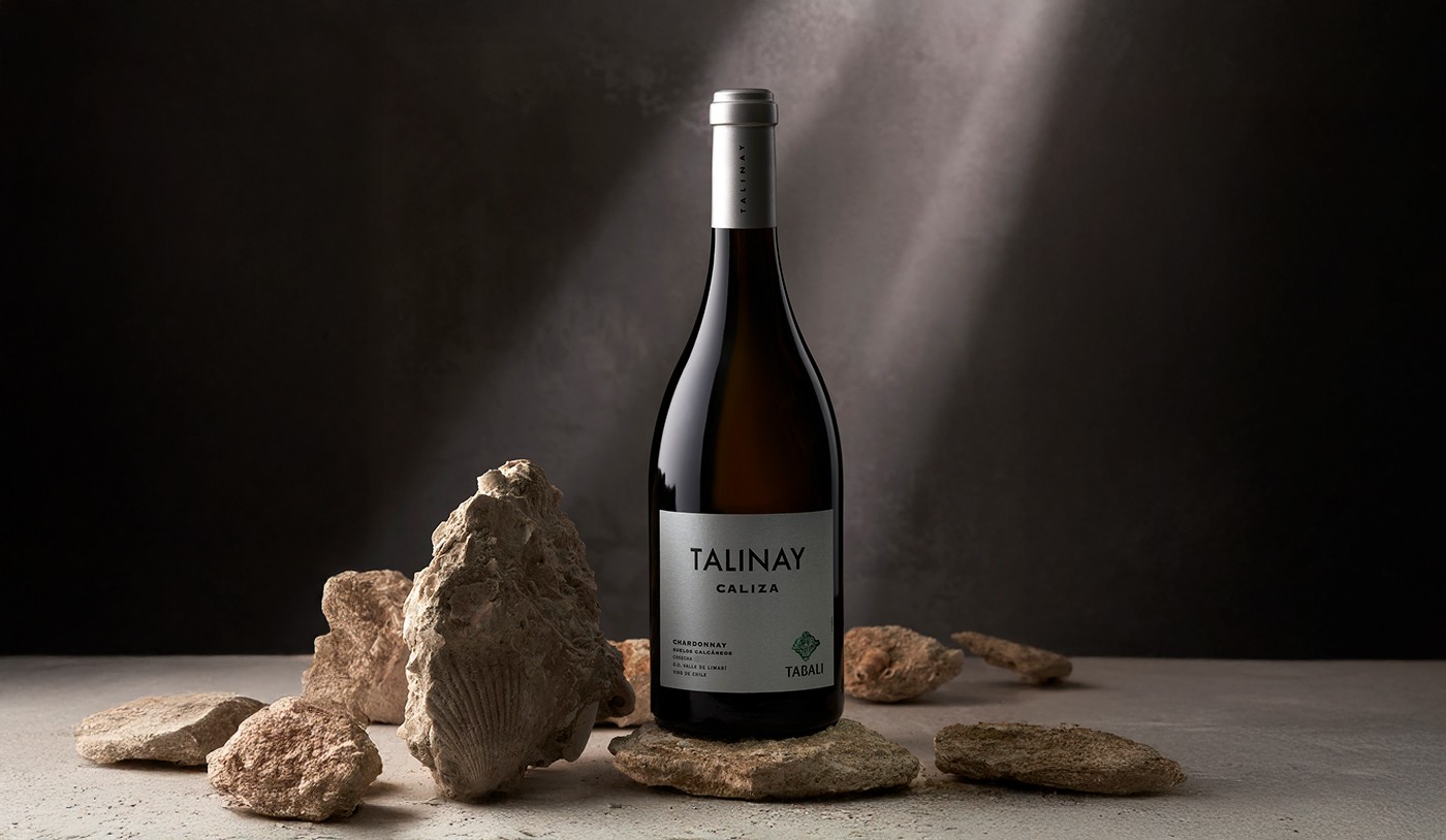 Chardonnay desbanca tintos e é eleito o melhor vinho do Chile em 2025