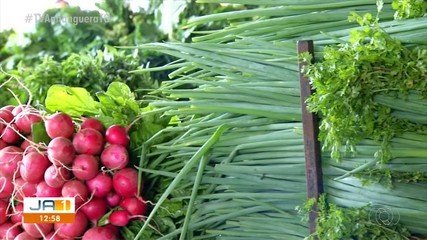Preços das hortaliças estão mais altos; entenda o motivo