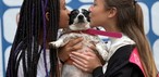 'Caminhada do Amicão' reúne famílias e animais de estimação em Vassouras; veja fotos — Foto: Divulgação/TV Rio Sul