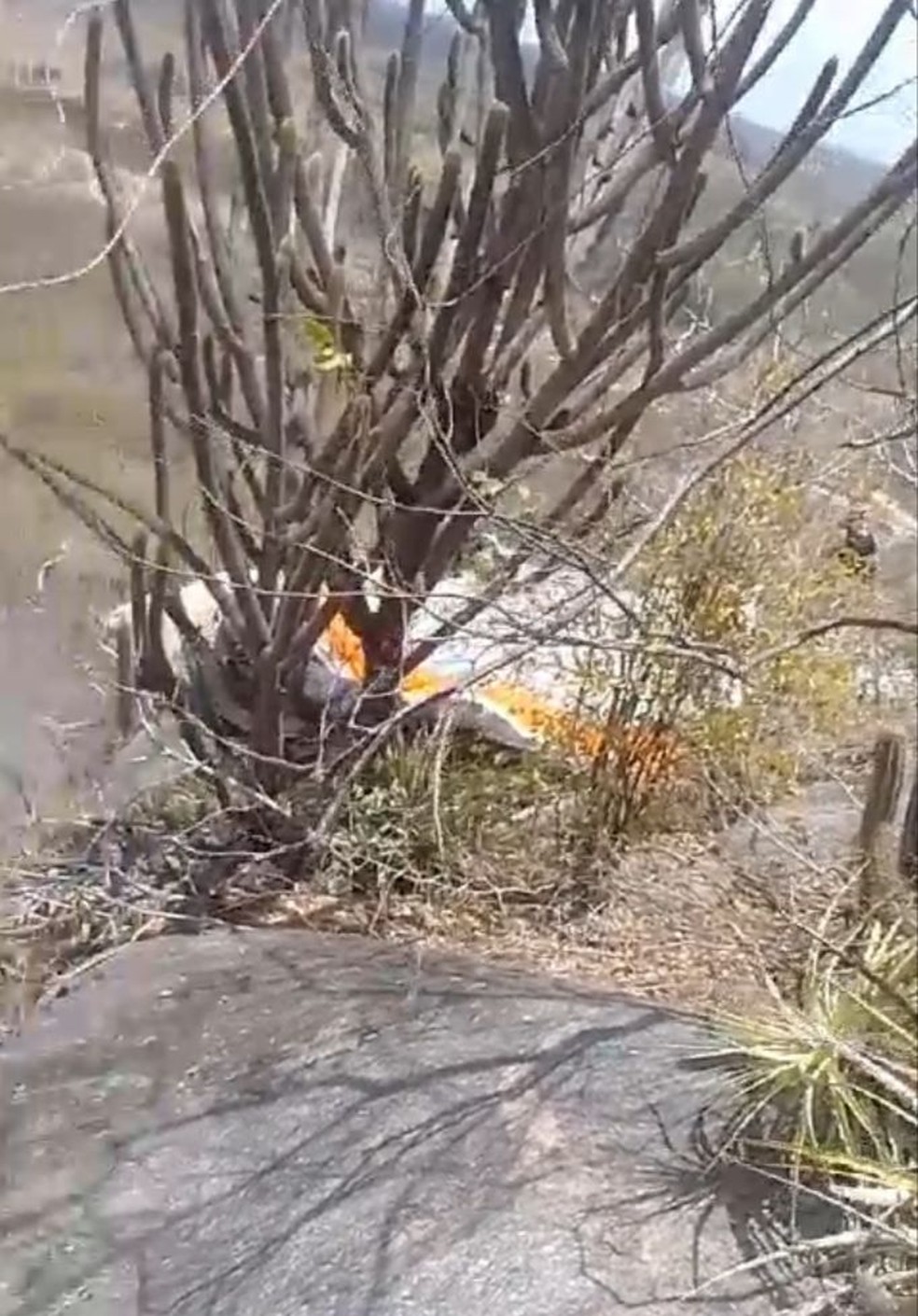 O piloto de parapente caiu de cerca de 20 metros nas proximidades da Serra da Tapuia, em Sítio Novo — Foto: Foto: Reprodução