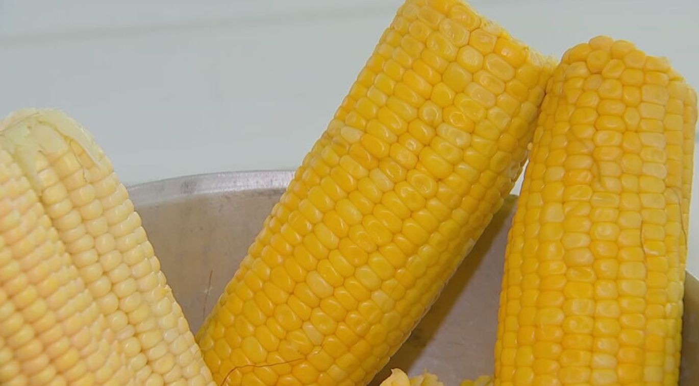 Pratos juninos: chef bauruense ensina como fazer creme salgado e manjar usando milho como ingrediente base