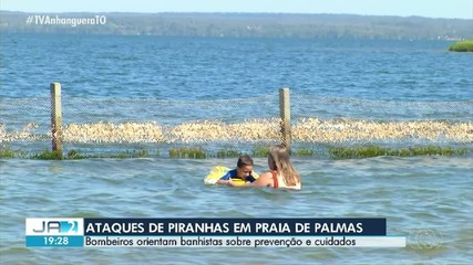 Bombeiros reforçam cuidados para prevenir ataques de piranhas nas praias da capital