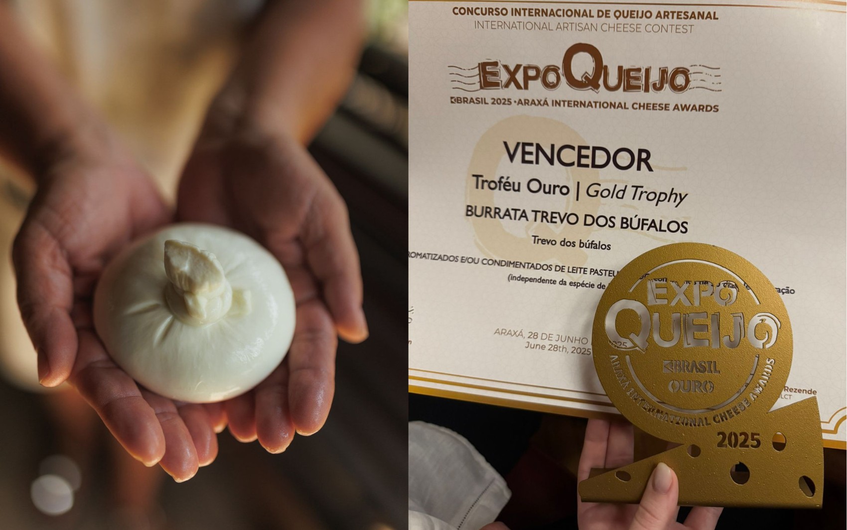 Queijo produzido em fazenda no extremo sul da Bahia vence concurso internacional”