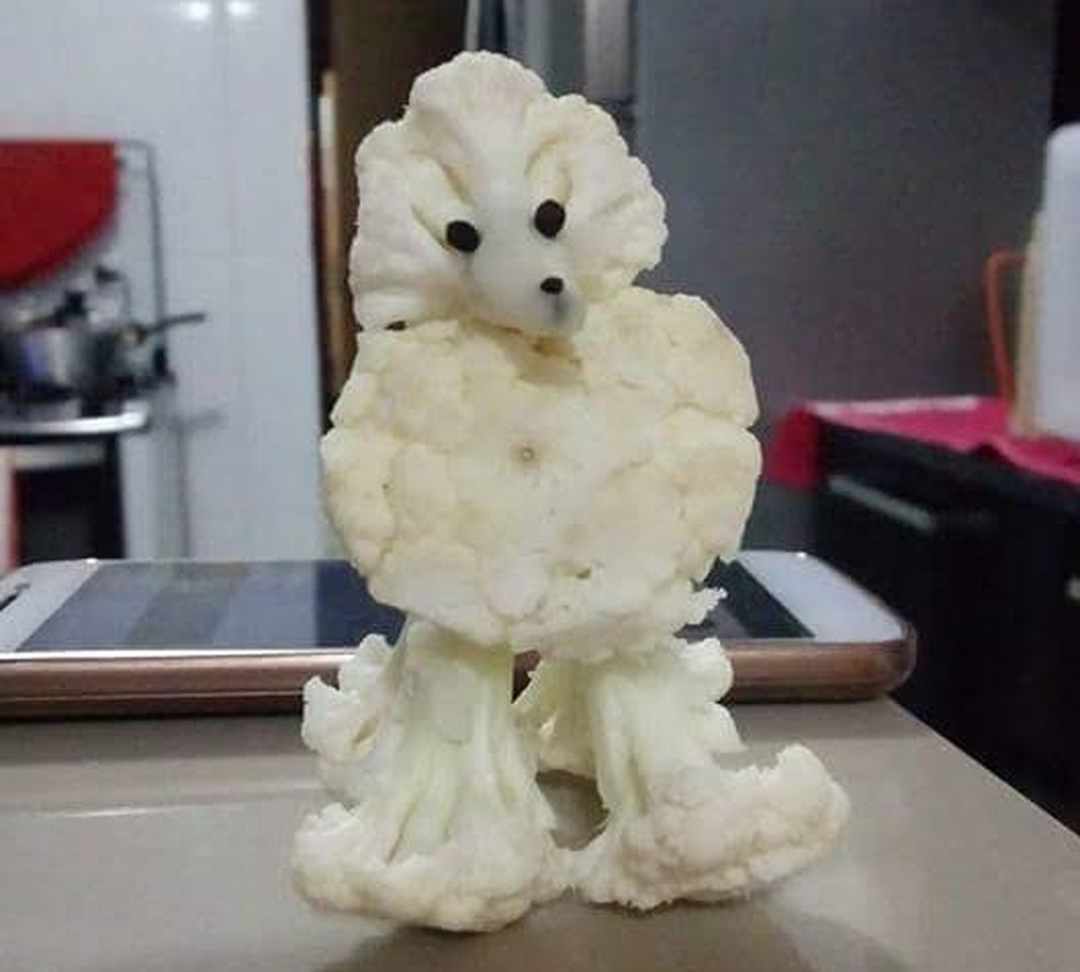 Poodle de couve-flor produzido pela moradora de Sorocaba (SP) Vanilda Nunes de Almeida — Foto: Arquivo pessoal