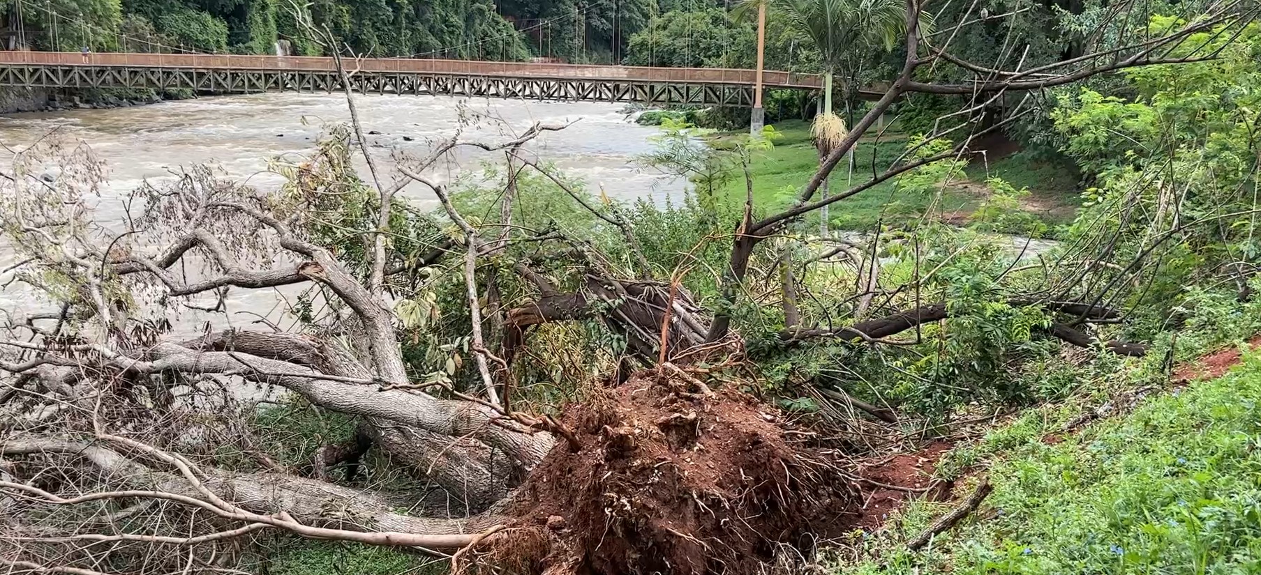 Trilha do Engenho Central apresenta buracos e árvores caídas após chuva em Piracicaba 
