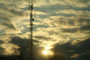 Ministério das Comunicações e Governo do Pará alinham ações para garantir conectividade na COP30, em Belém