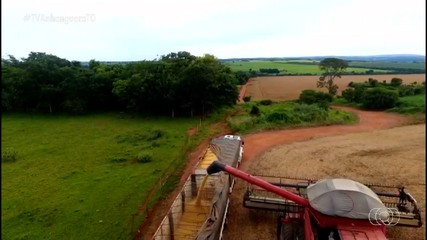 Excesso de chuva tem atrapalhado colheita de soja, diz o telespectador