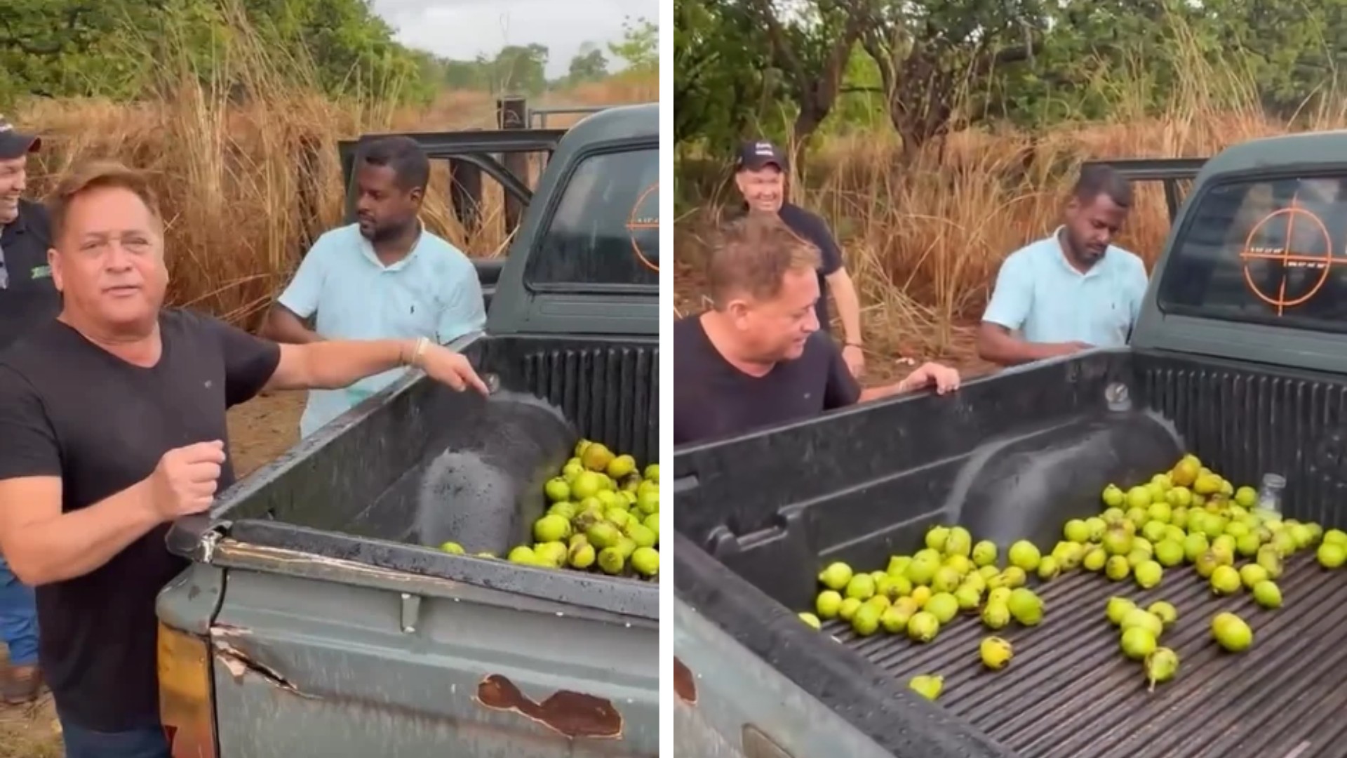 Leonardo pega pequi no meio de fazenda e mostra carroceira cheia: ‘Será que a gente gosta?’