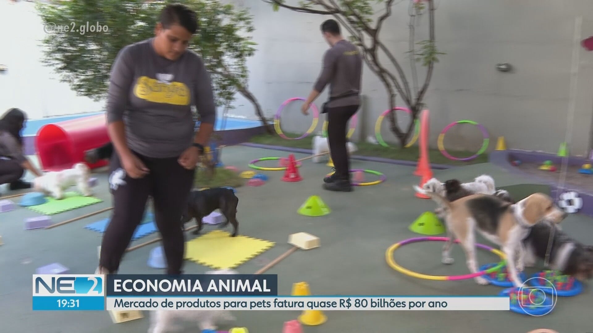 VÍDEOS: NE2 de segunda-feira, 23 de fevereiro de 2026