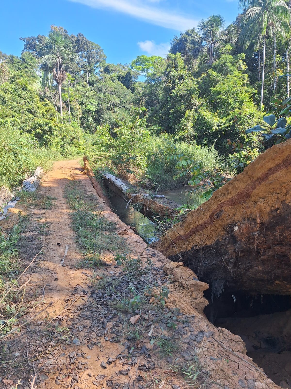 Indígenas Karipuna ficam isolados após única ponte de acesso à aldeia ser destruída por invasores, diz liderança 