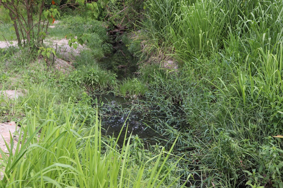 Vazamento de esgoto atinge córrego Pouso do Meio, em Gurupi — Foto: Divulgação/Prefeitura de Gurupi