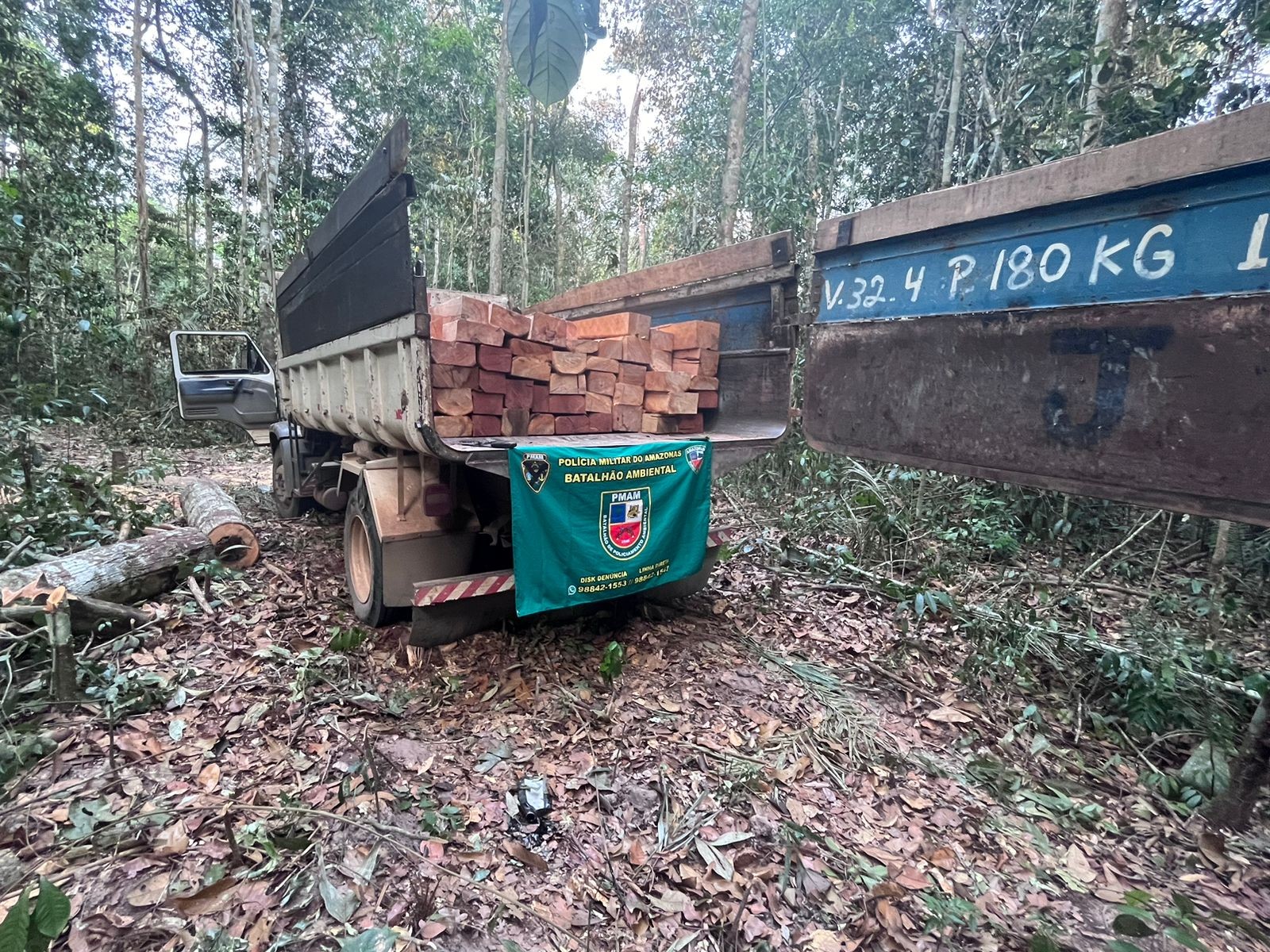 Grupo é preso por suspeita de desmatamento ilegal no Amazonas