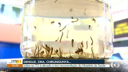 Vejas as dicas para combater a proliferação do Aedes Aegypti