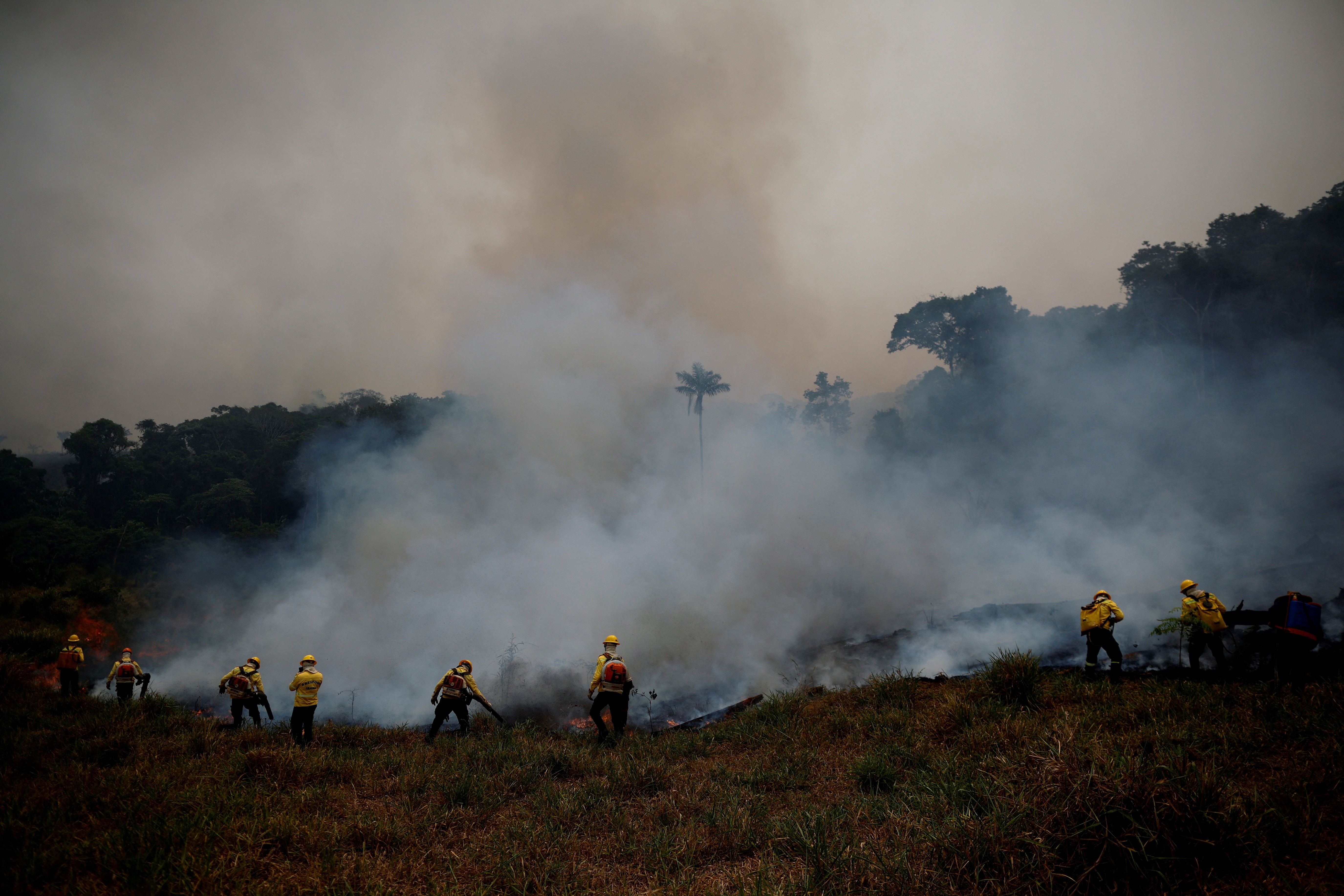 Fumaça das queimadas pode causar 1,4 milhão de mortes por ano até 2100, diz estudo