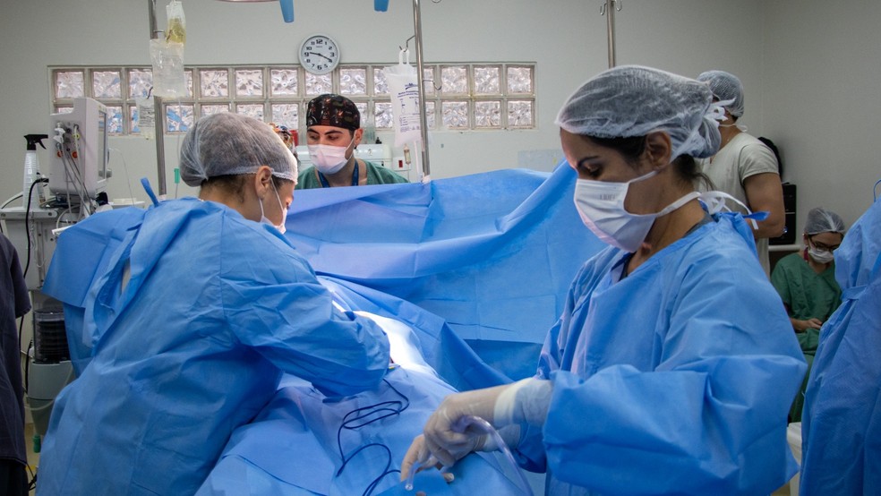 Hospital faz coleta de &oacute;rg&atilde;os para doa&ccedil;&atilde;o em Rio Preto (SP) &mdash; Foto: Hospital de Base/Divulga&ccedil;&atilde;o