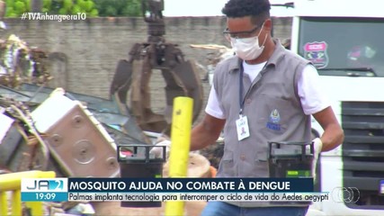 Palmas implanta armadilhas com tecnologia para combate à dengue