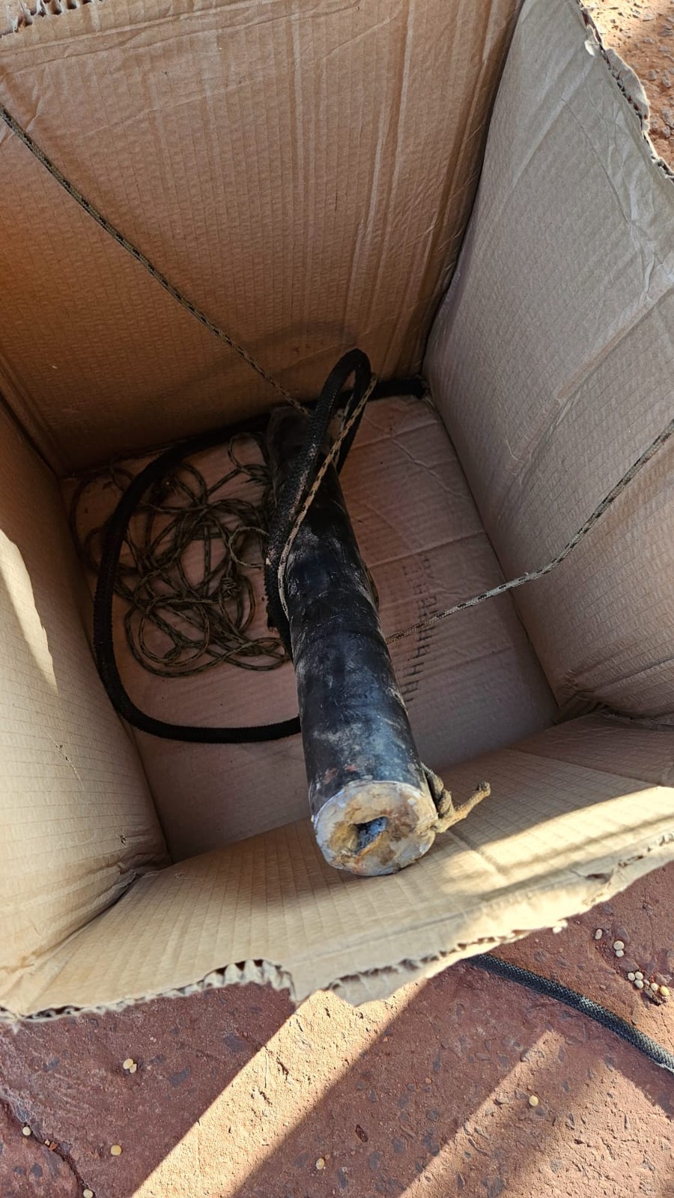 Fazenda de soja é invadida e polícia encontra bomba artesanal em silo de grãos no Sul do Piauí — Foto: Reprodução