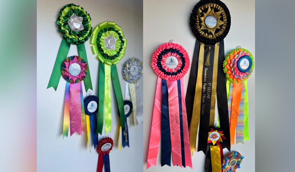 Casal já conquistou diversas medalhas em competições de tosa — Foto: Arquivo pessoal