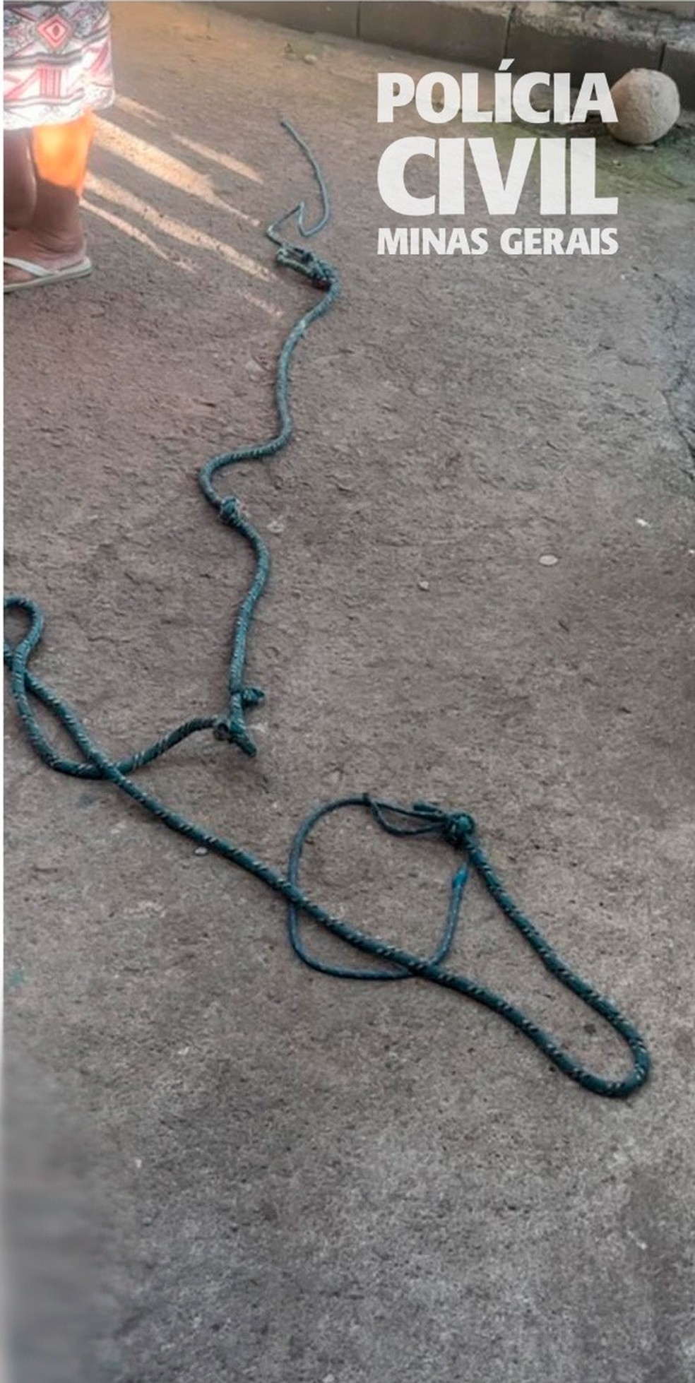 A PCMG apreendeu uma das cordas utilizadas durante a tortura — Foto: Divulgação/PCMG