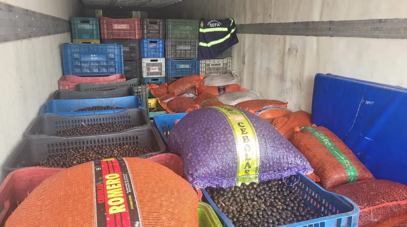 Mais de 43 toneladas de açaí irregular são apreendidas no Pará; carga vinha da Bahia com destino a Ananindeua