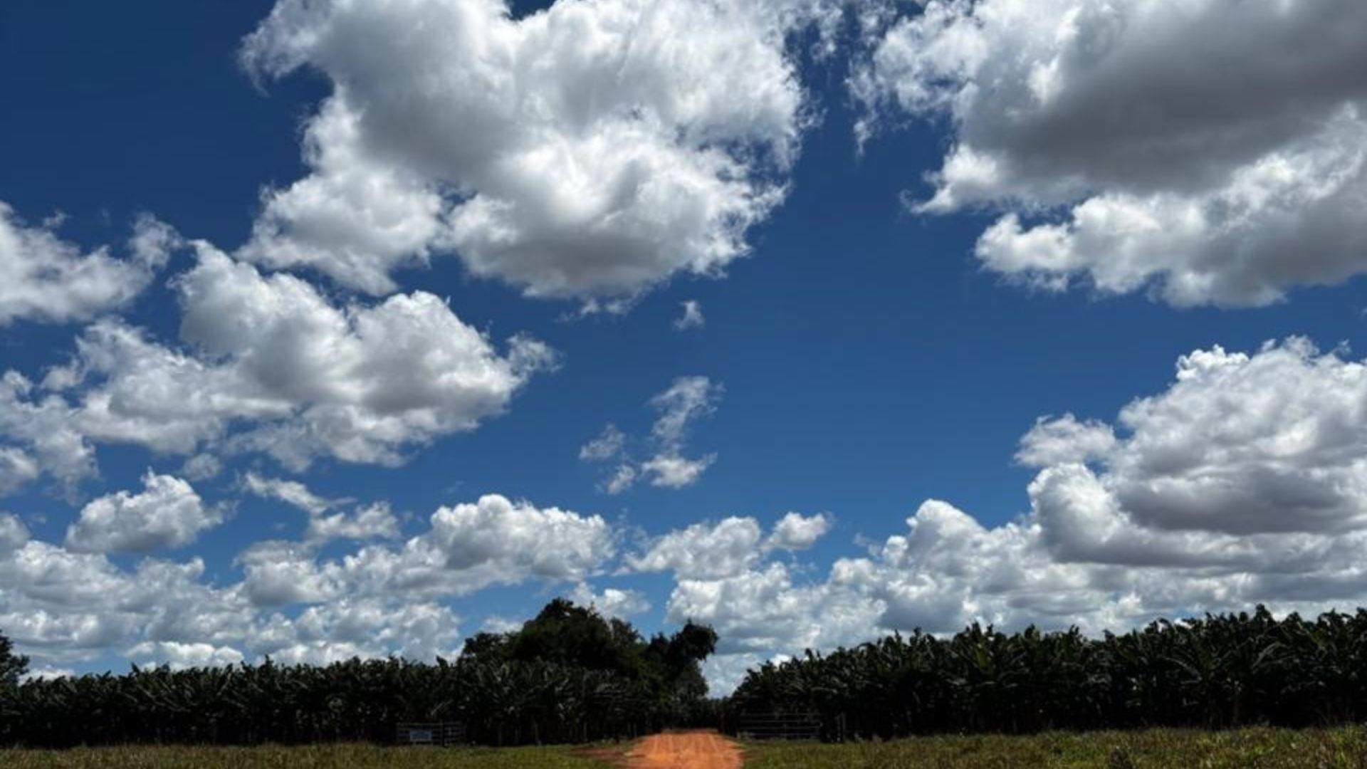 Sem possibilidade de chuva, Uberlândia e Ituiutaba têm máxima de 37 °C; veja a previsão do tempo