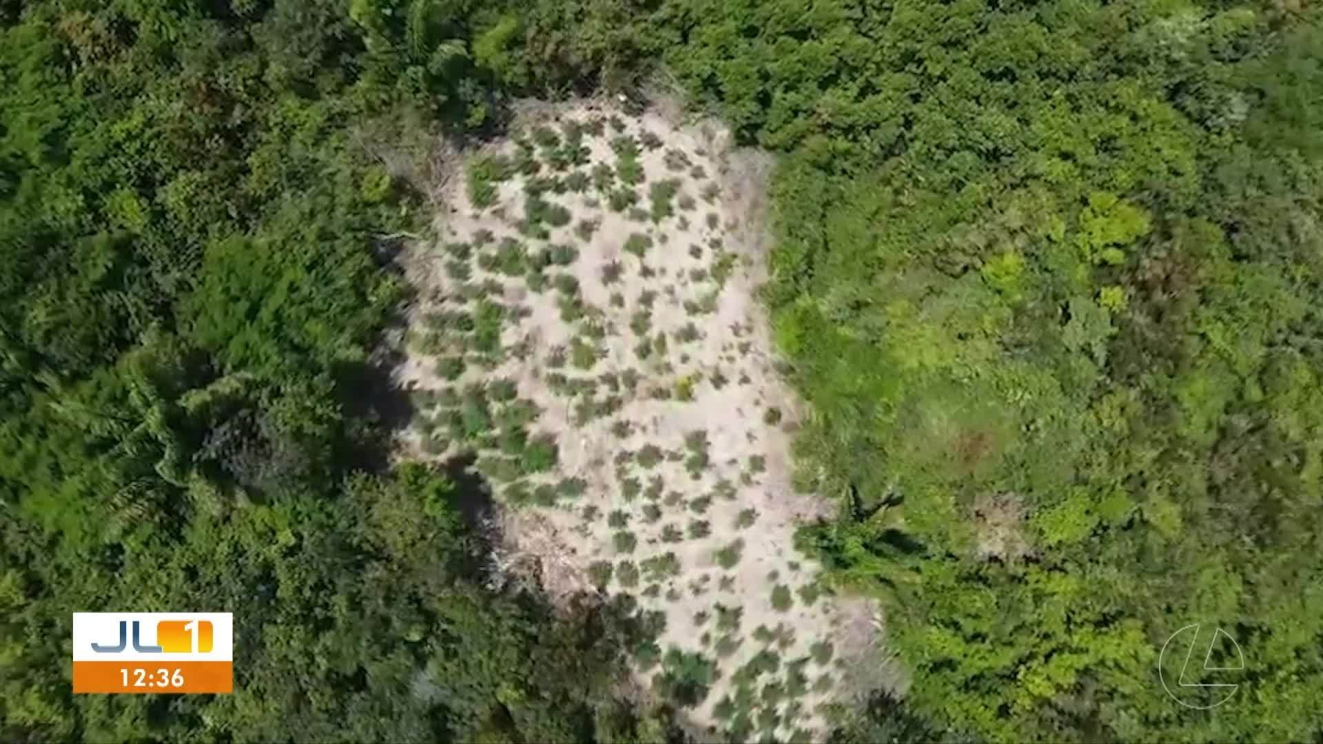 VÍDEOS: JL1 de segunda-feira, 29 de dezembro de 2025