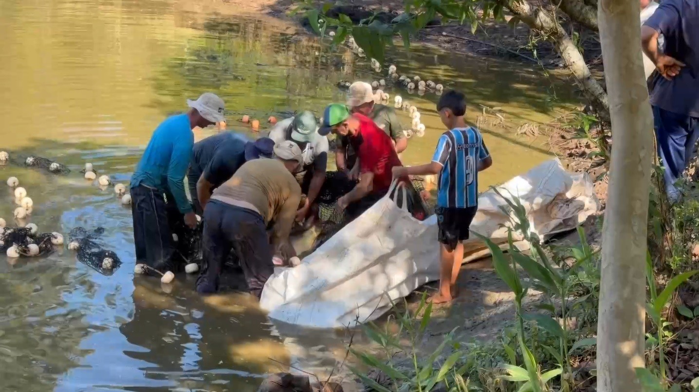 Você sabe o que é despesca? Tradição gaúcha abastece comércio de peixes na Semana Santa