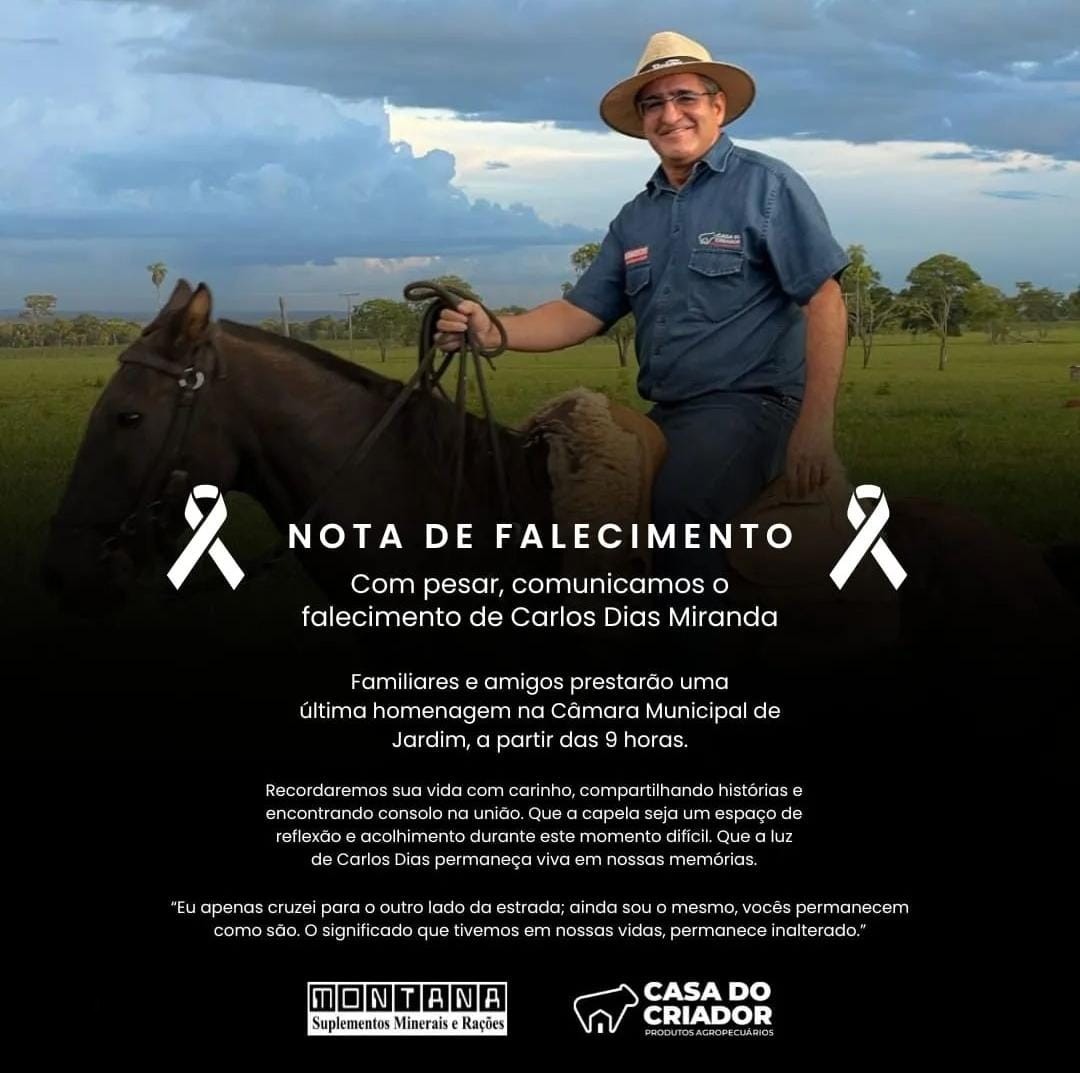 Empresário morre após bater em animal na BR-060 em MS